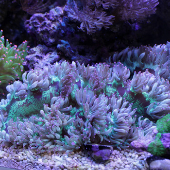 3連休!!!_d0221436_20113747.jpg