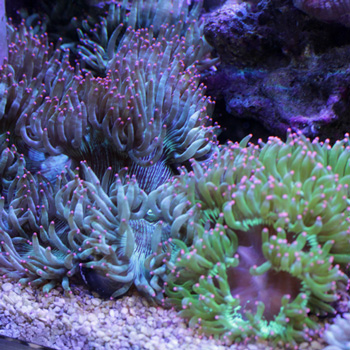 3連休!!!_d0221436_20114654.jpg