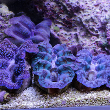 3連休!!!_d0221436_20133613.jpg