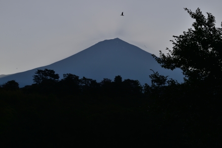 c0314839_03142804.jpg