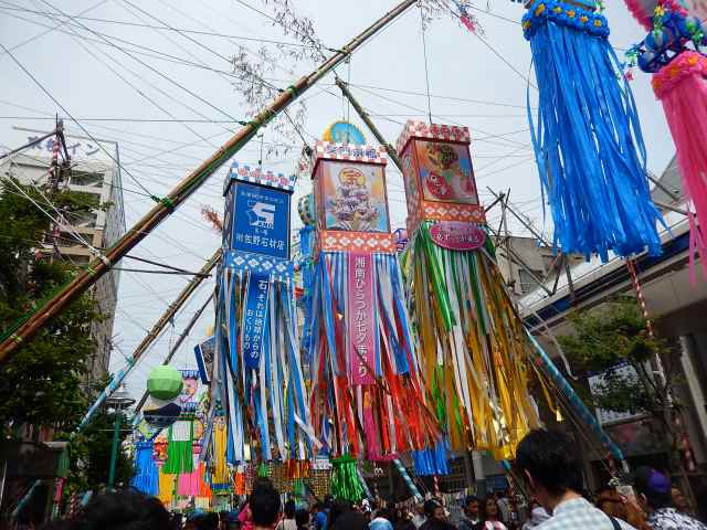 a0048040_75815.jpg