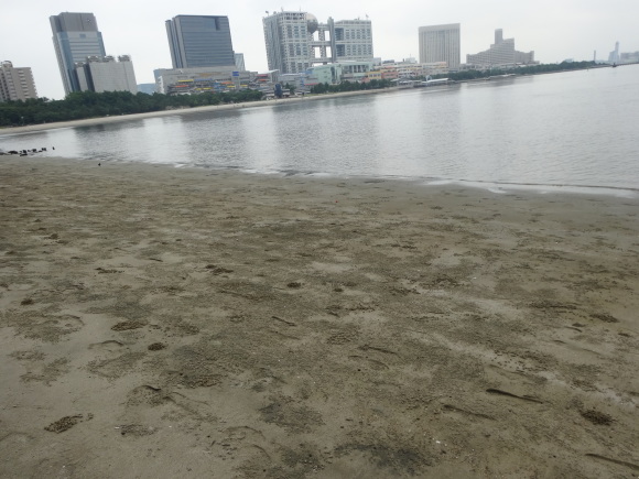 c0323143_17032248.jpg