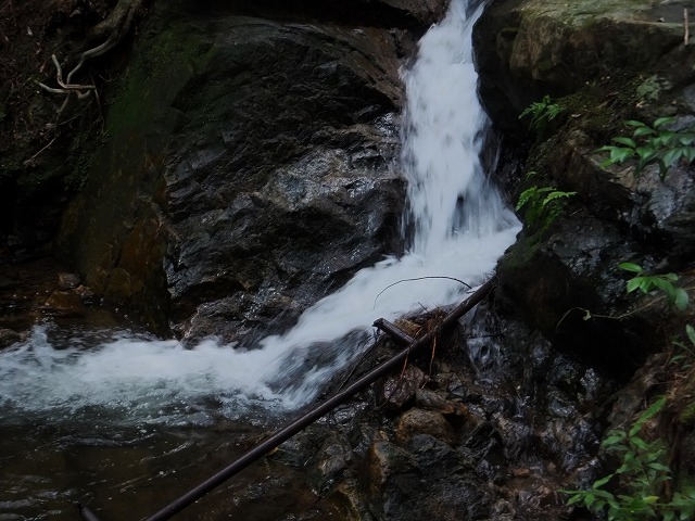 d0048350_17254972.jpg