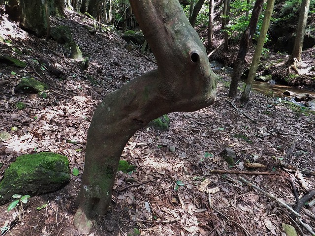 d0048350_17275118.jpg