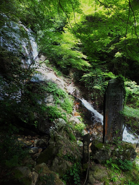 d0048350_17282453.jpg