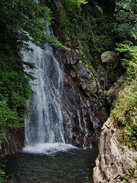 d0048350_17283134.jpg