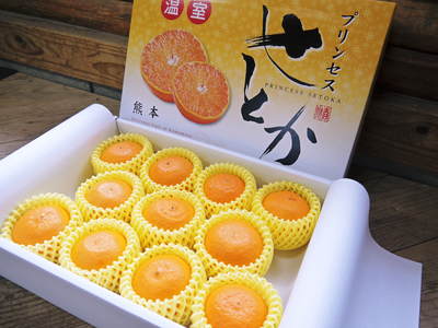 究極の柑橘「せとか」 摘果のポイントと夏草の草刈りと肥料の話 その2_a0254656_19441055.jpg