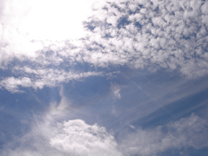 e0001558_1137237.gif