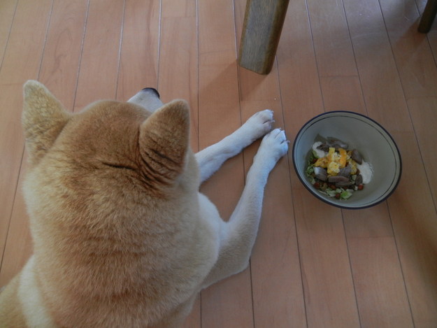 ’14,7,18(金)愛ちゃんの食欲が戻りました!_f0060461_11341693.jpg