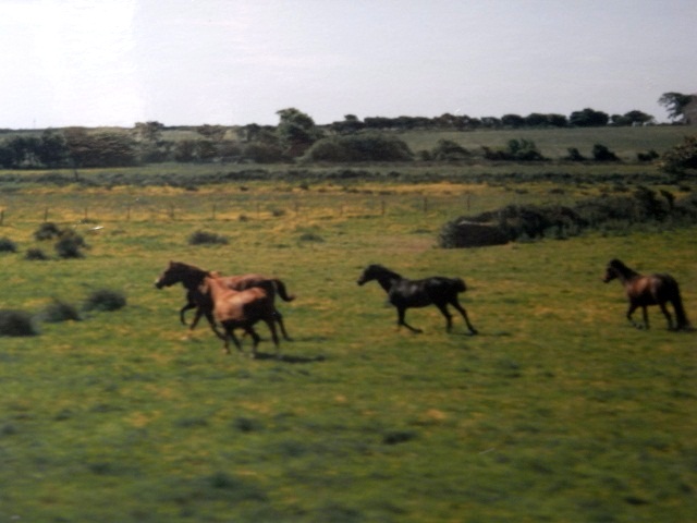 d0105967_1646192.jpg