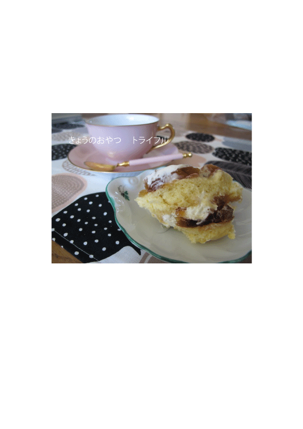 d0195871_0401850.gif
