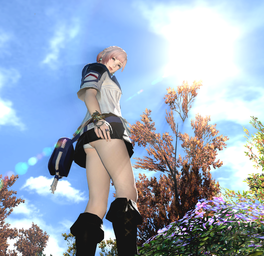 b0296791_14493571.png