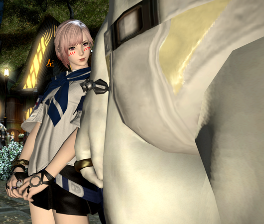b0296791_16411129.png