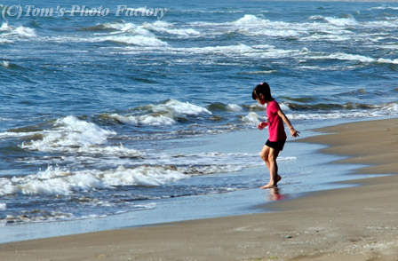 千里浜、海開き目前の夏のある日_b0155692_19125758.jpg