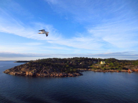 c0180096_1972640.jpg