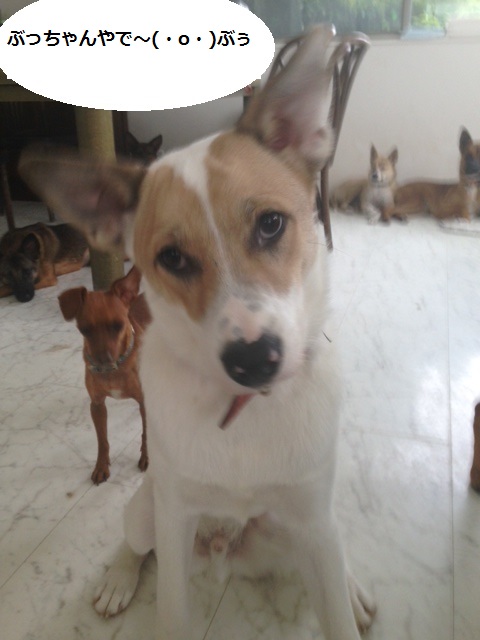 d0027698_09441333.jpeg