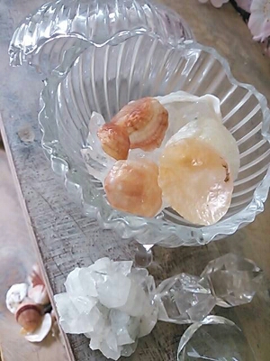 a0267099_11105693.jpg
