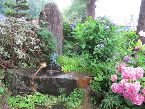 堂森・善光寺へ、雨に濡れた紫陽花を観賞に・・・４_c0075701_18173242.jpg