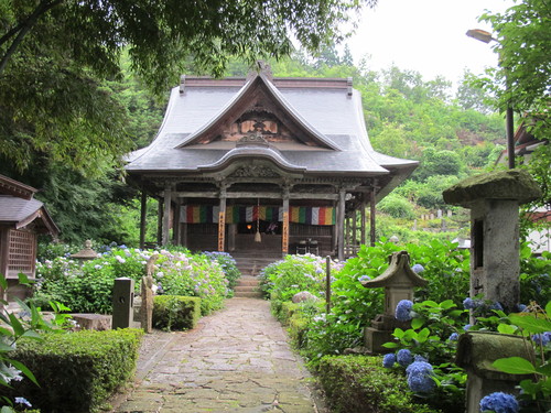 堂森・善光寺へ、雨に濡れた紫陽花を観賞に・・・４_c0075701_1817417.jpg