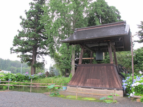 堂森・善光寺へ、雨に濡れた紫陽花を観賞に・・・９～_c0075701_1855645.jpg