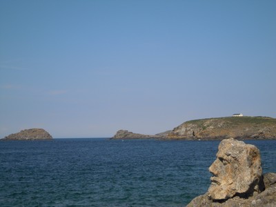 e0206902_23382645.jpg