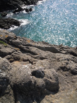 e0206902_23444964.jpg