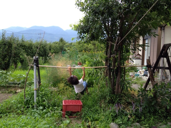 自宅フィールドアスレチック オーガニックな庭作り つるかめ園芸