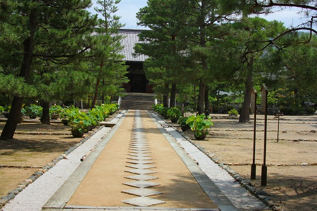 e0121110_21484767.jpg