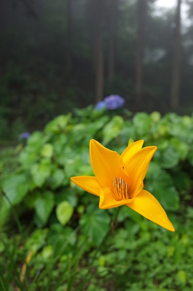 白石一本 ■21分52秒_c0208218_1113032.jpg