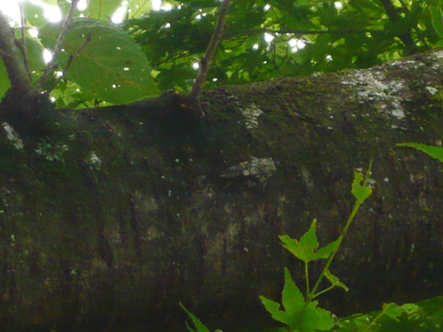a0238019_20211998.jpg