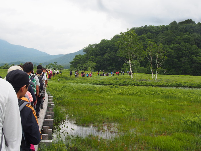 尾瀬の花旅_a0289242_11443112.jpg