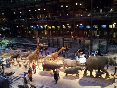 e0257758_11444284.jpg