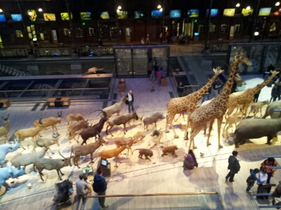 e0257758_11455889.jpg