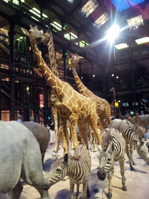 e0257758_11525079.jpg