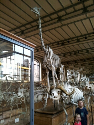 e0257758_12324751.jpg