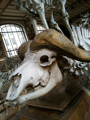 e0257758_12331323.jpg
