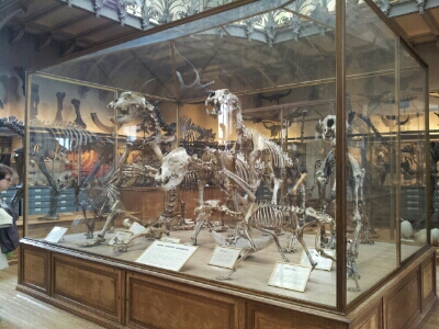 e0257758_1234256.jpg