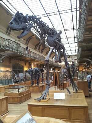 e0257758_1236144.jpg