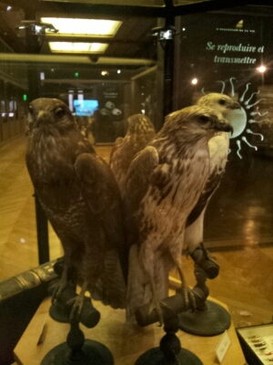 e0257758_1263469.jpg