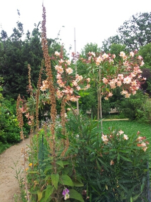 e0257758_1310627.jpg
