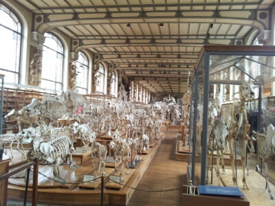 e0257758_1313559.jpg