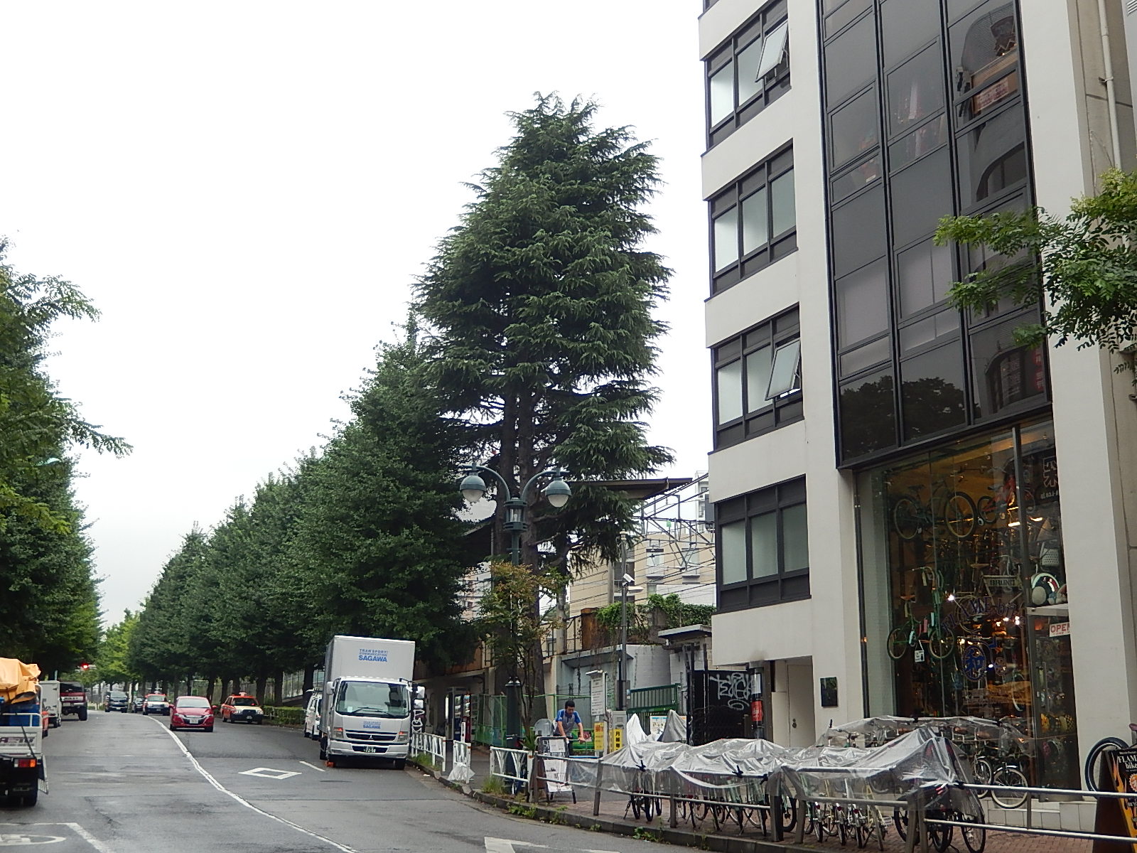 7月19日　渋谷　原宿　の自転車屋　FLAME bike前です_e0188759_18503065.jpg