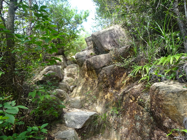 c0066176_74554.jpg
