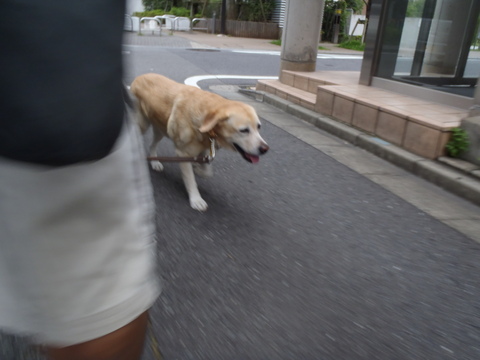 f0052277_0561865.jpg