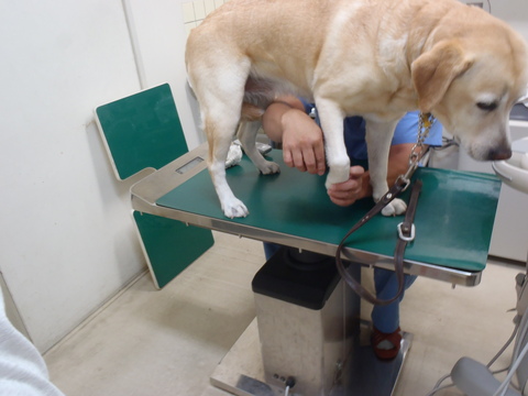 f0052277_0583069.jpg