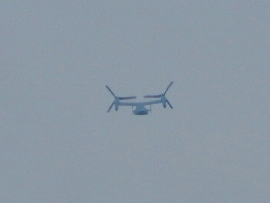 d0224990_14240085.jpg