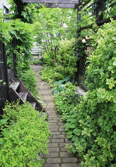 a0123003_19343565.jpg