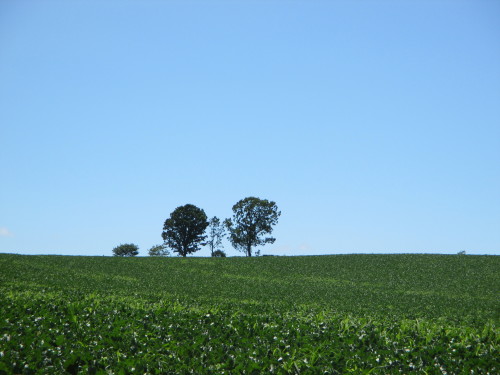 e0242504_22120147.jpg
