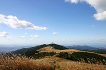 d0067909_11363722.jpg