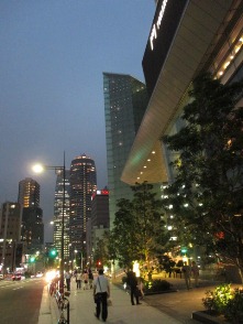 東京で2番目の高さから?絶景!_d0091909_12425332.jpg